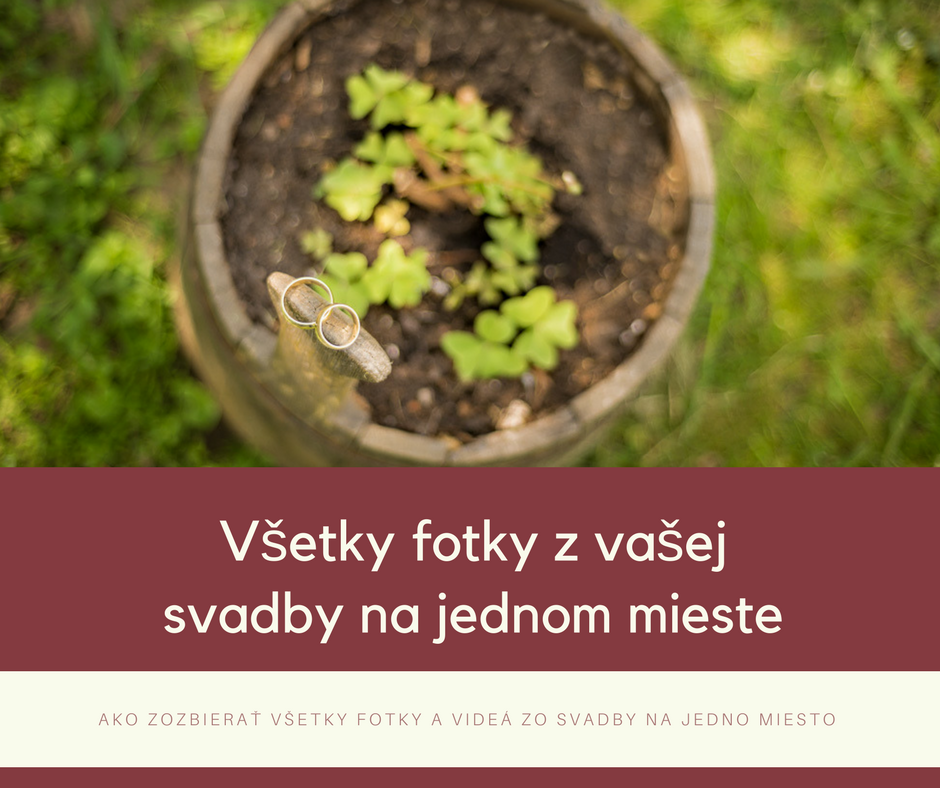 Všetky fotky z vašej svadby na jednom mieste