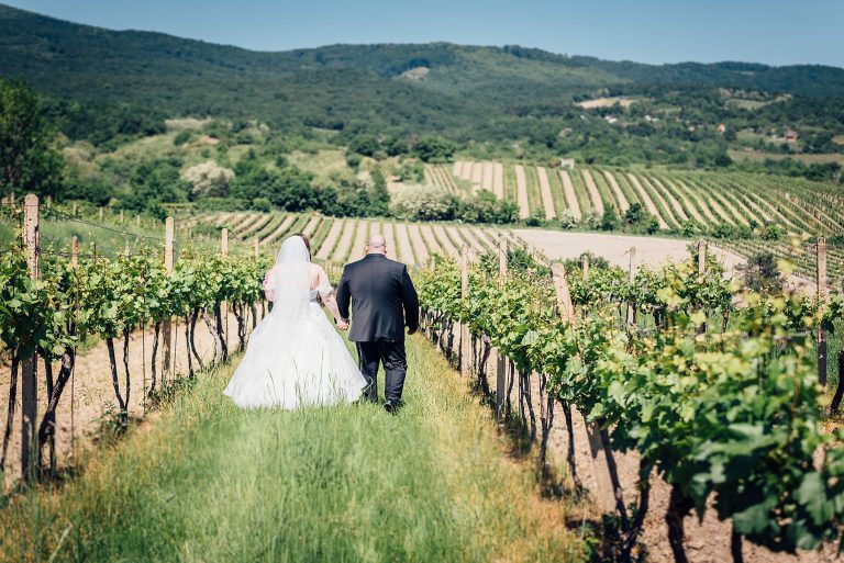 svadba vo vinohradoch modra