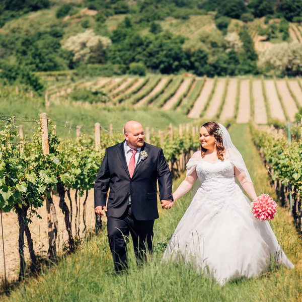 svadba vo vinohradoch modra